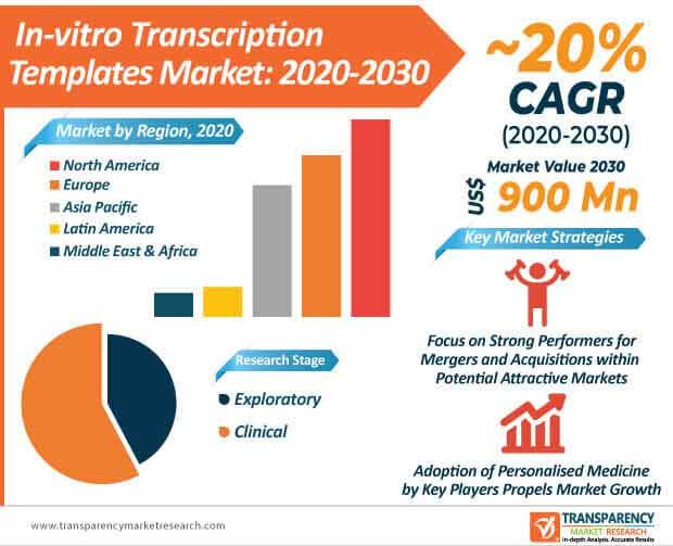 in vitro transcription templates market infographic