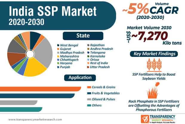 india ssp market infographic