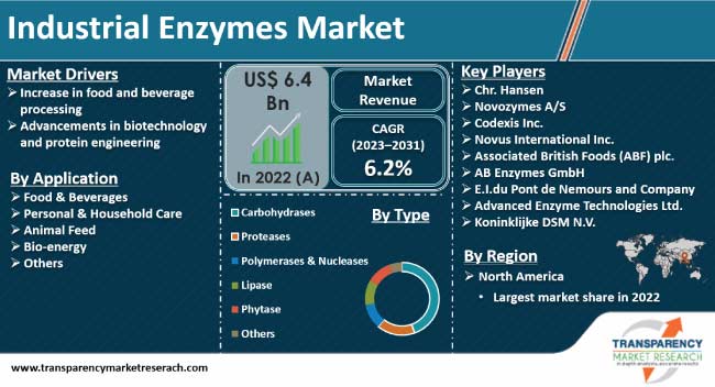 industrial enzymes market