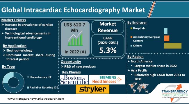 Intracardiac Echocardiography Market