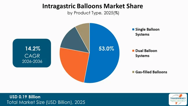 Intragastric Balloons Market By Type Intragastric Balloons Market By Type
