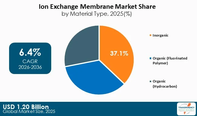 Ion Exchange Membrane Market By Type Ion Exchange Membrane Market By Type