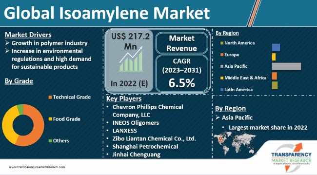 Isoamylene Market