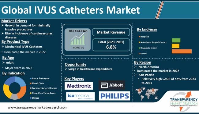 Ivus Catheters Market