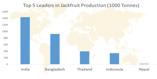 jackfruit market