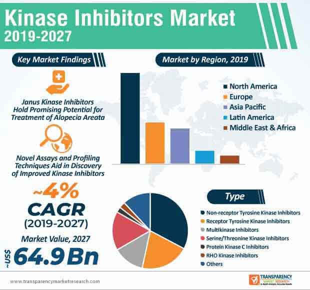 kinase inhibitors market infographic