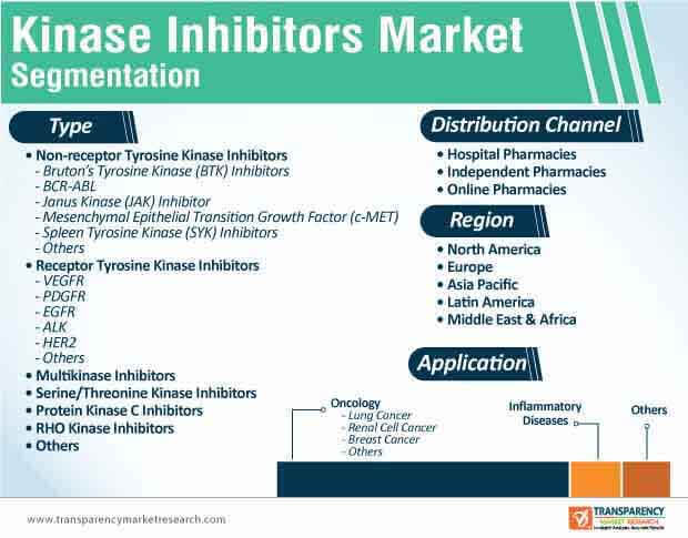 Kinase Inhibitors Market Segmentation kinase inhibitors market segmentation