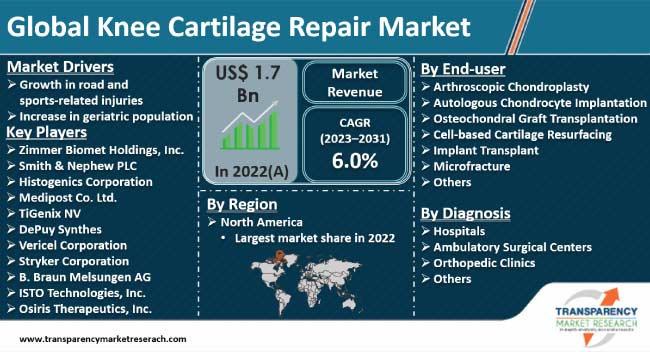 Knee Cartilage Repair Market