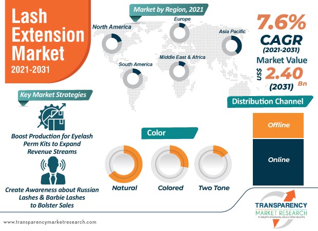 lash extension market infographic