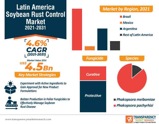 latin america soybean rust control market infographic