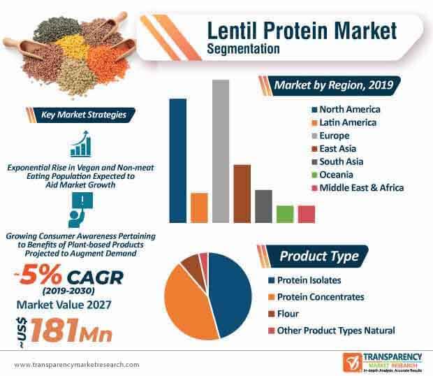 lentil protein market infographic