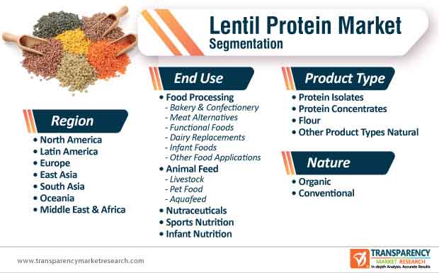 lentil protein market segmentation