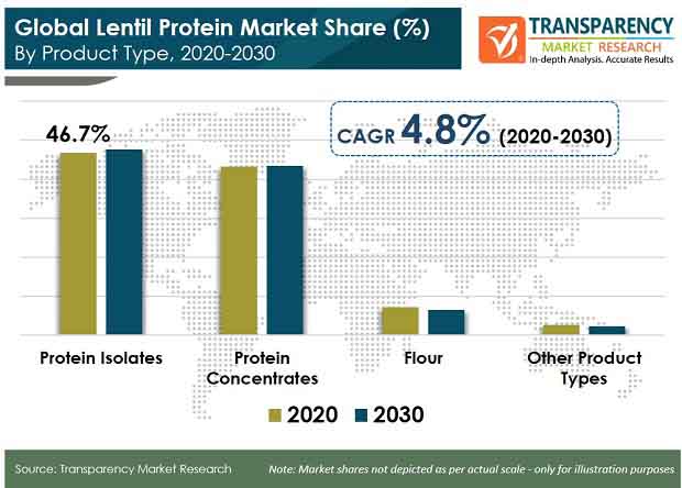 lentil protein market