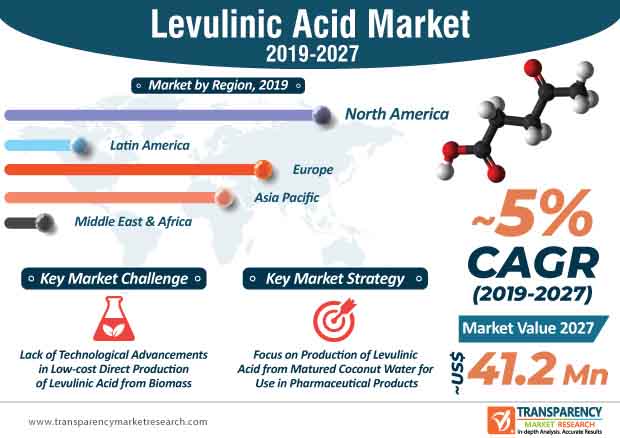 levulinic acid market infographic