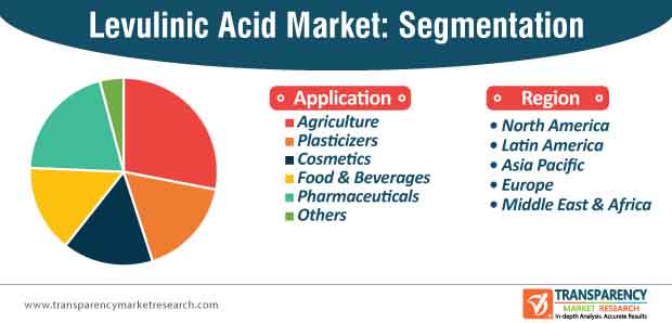 levulinic acid market segmentation