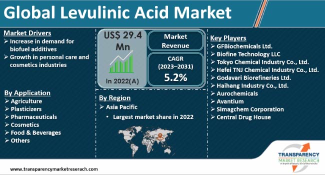 Levulinic Acid Market