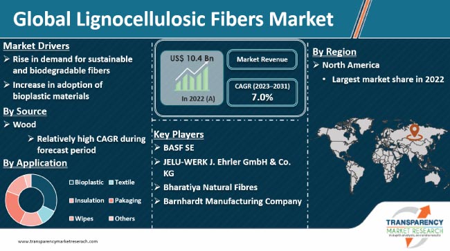 Lignocellulosic Fibers Market