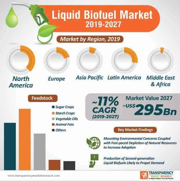 liquid biofuel market infographic