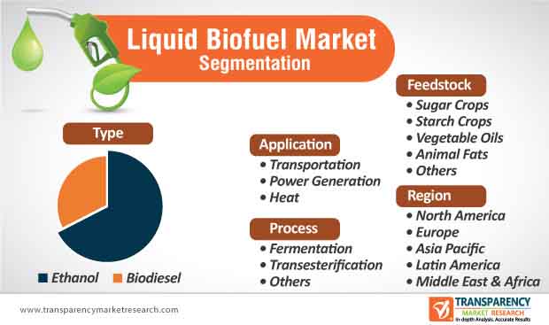 liquid biofuel market segmentation