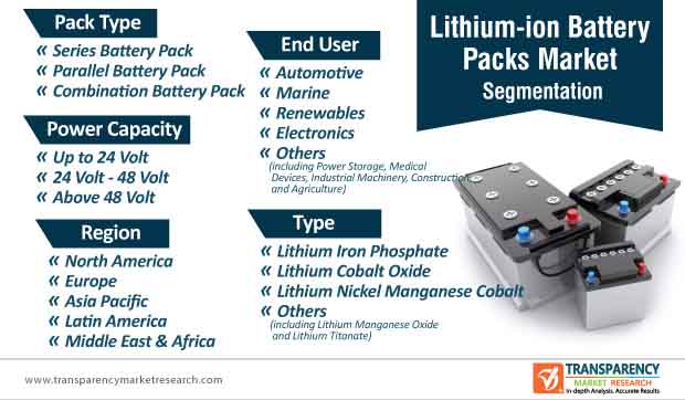 lithium ion battery packs market segmentation