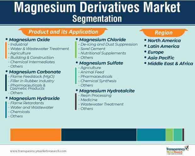 Magnesium Derivatives Market Segmentation magnesium derivatives market segmentation