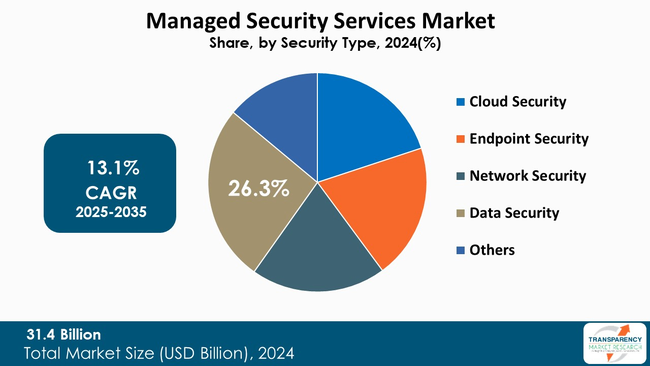 Managed Security Services Market By Security Type