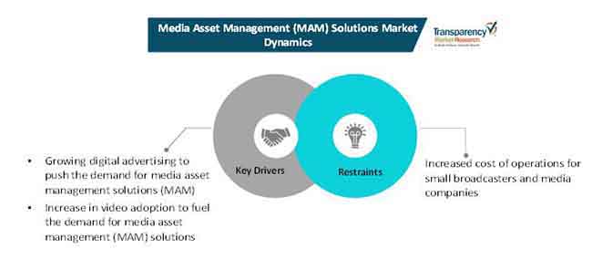 media asset management mam solutions market