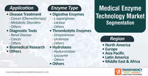 medical enzymes technology market segmentation