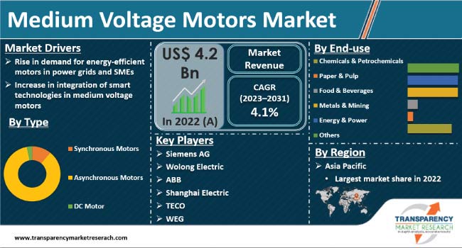 Medium Voltage Motors Market