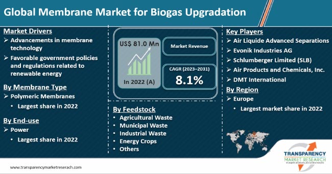 Membrane Market For Biogas Upgradation