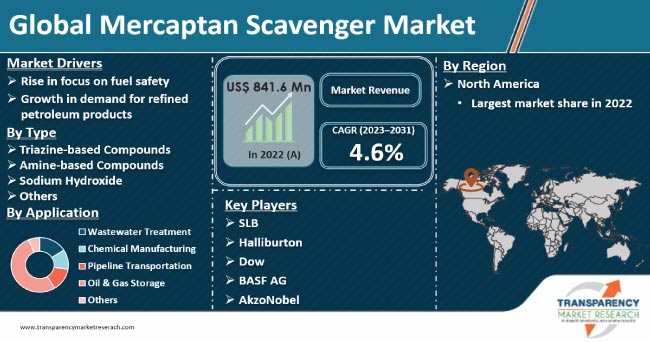 Mercaptan Scavenger Market