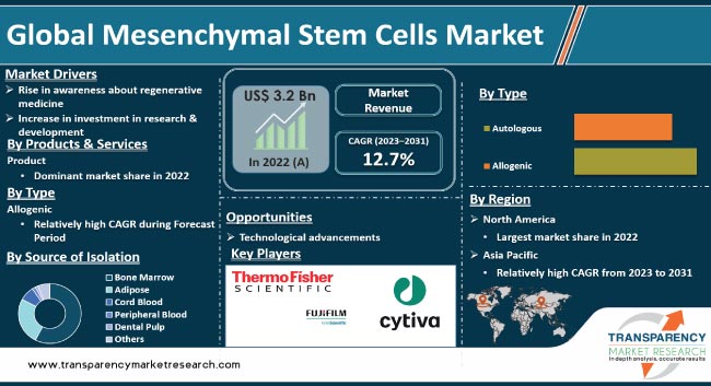 Mesenchymal Stem Cells Market