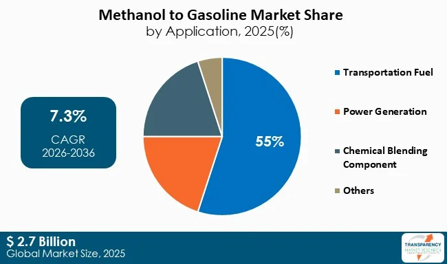 Methanol To Gasoline Market By Type