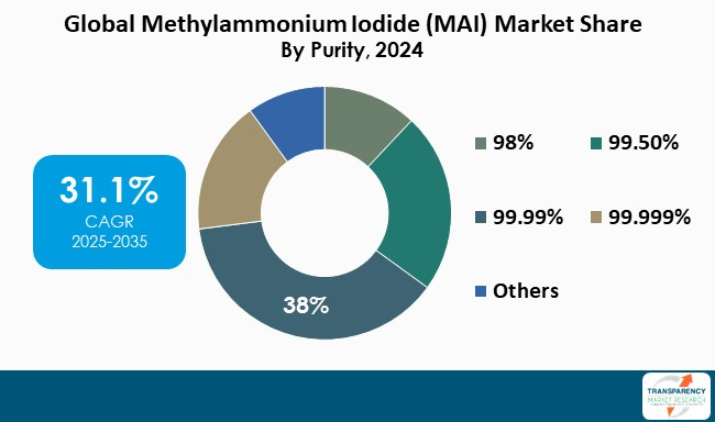 Methylammonium Iodide Mai Market By Purity Methylammonium Iodide Mai Market By Purity