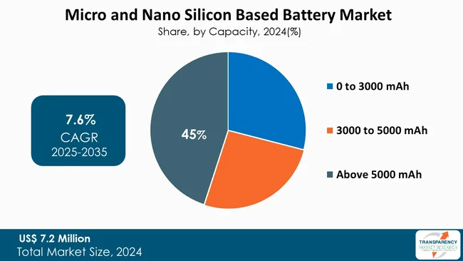 Micro And Nano Silicon Based Battery Market By Capacity
