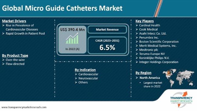 Micro Guide Catheters Market