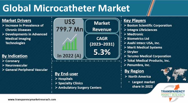 Microcatheter Market