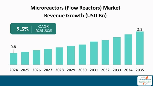 Microreactors Flow Reactors Market By Revenue