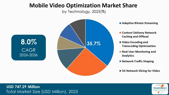 Mobile Video Optimization Market By Type