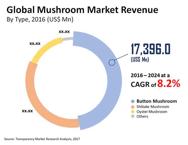 mushroom marketc