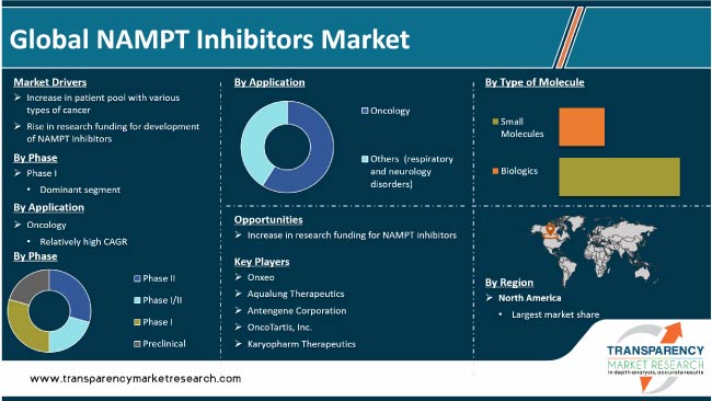 Nampt Inhibitors Market
