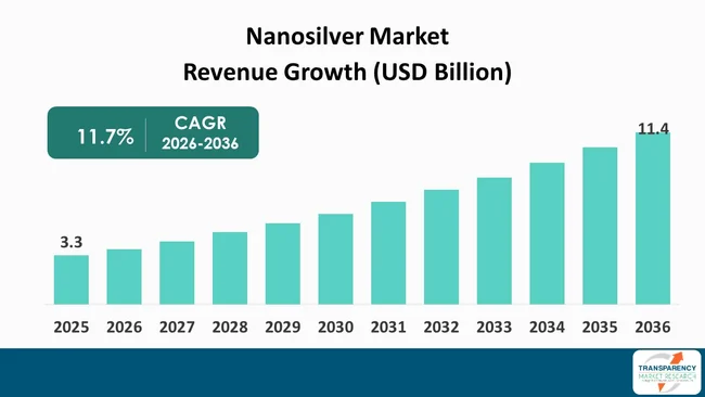 Nanosilver Market By Revenue
