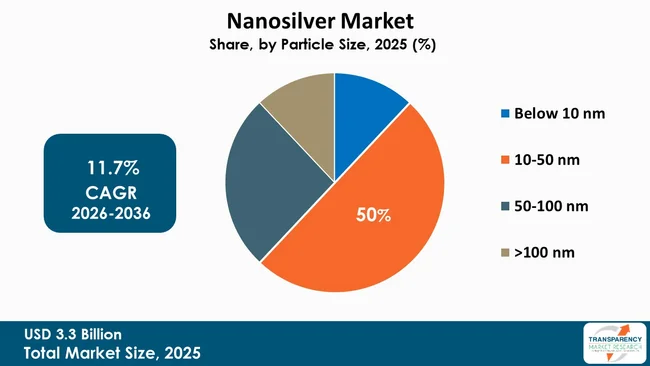 Nanosilver Market By Type