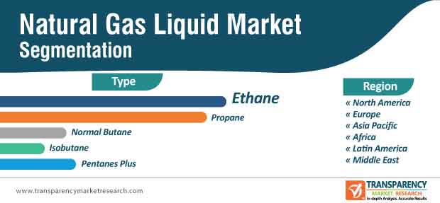 natural gas liquids market segmentation