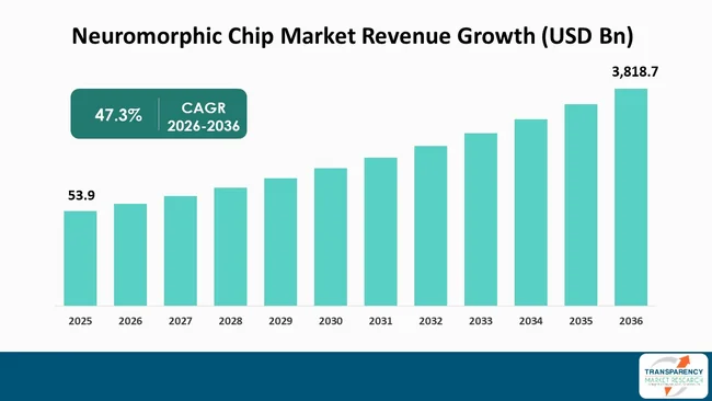 Neuromorphic Chip Market By Revenue Neuromorphic Chip Market By Revenue