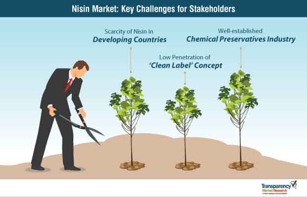 nisin market key challenges