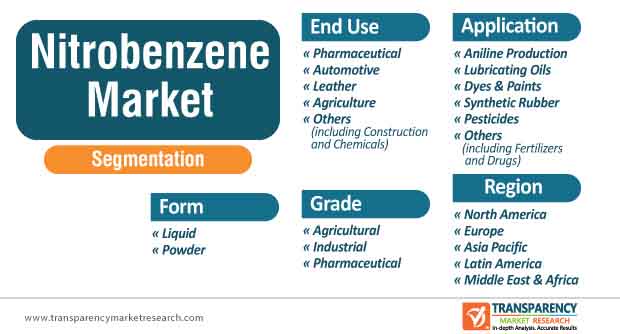 nitrobenzene market segmentation