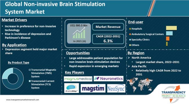 Non Invasive Brain Stimulation System Market