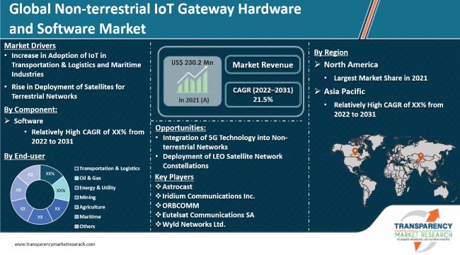 Non Terrestrial Iot Gateway Hardware And Software Market