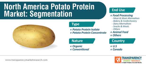 North America Potato Protein Market Segmentation north america potato protein market segmentation